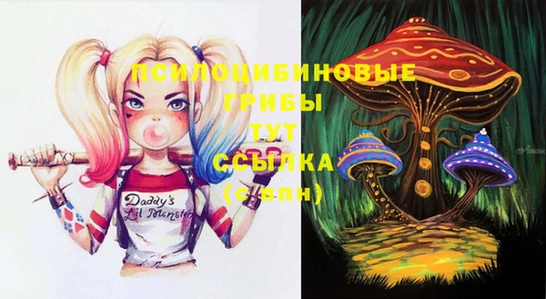 PSILOCYBIN Алзамай
