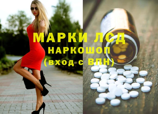 PSILOCYBIN Алзамай