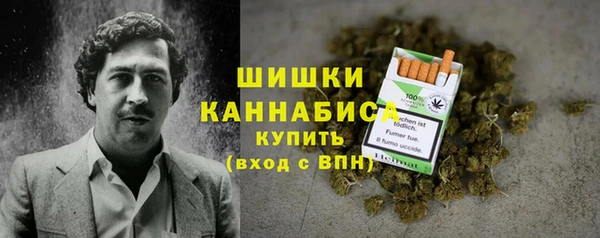 PSILOCYBIN Алзамай
