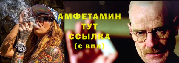 PSILOCYBIN Алзамай