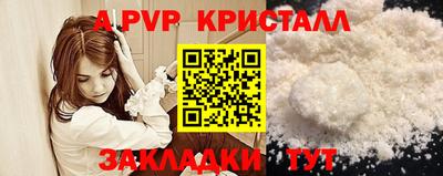 эйфоретик Кингисепп